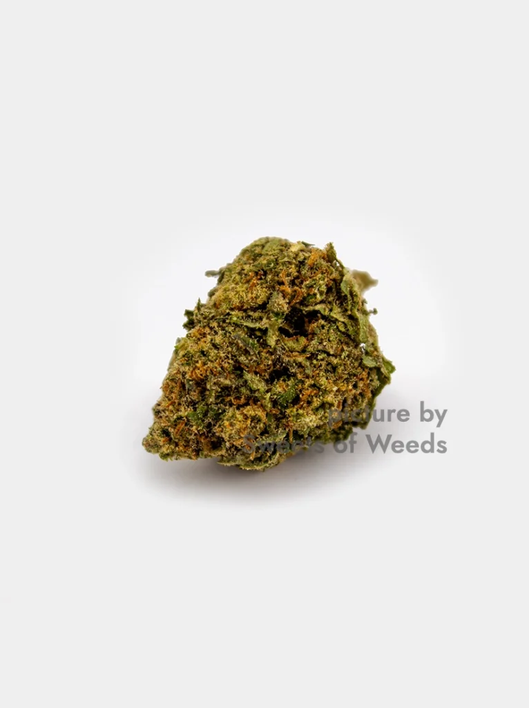 Premium CBD Blüten Gorilla Glue – Hochwertiger Indoor-Anbau