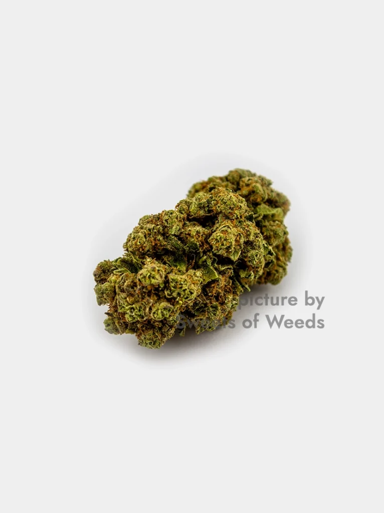 CBD Amnesia Haze