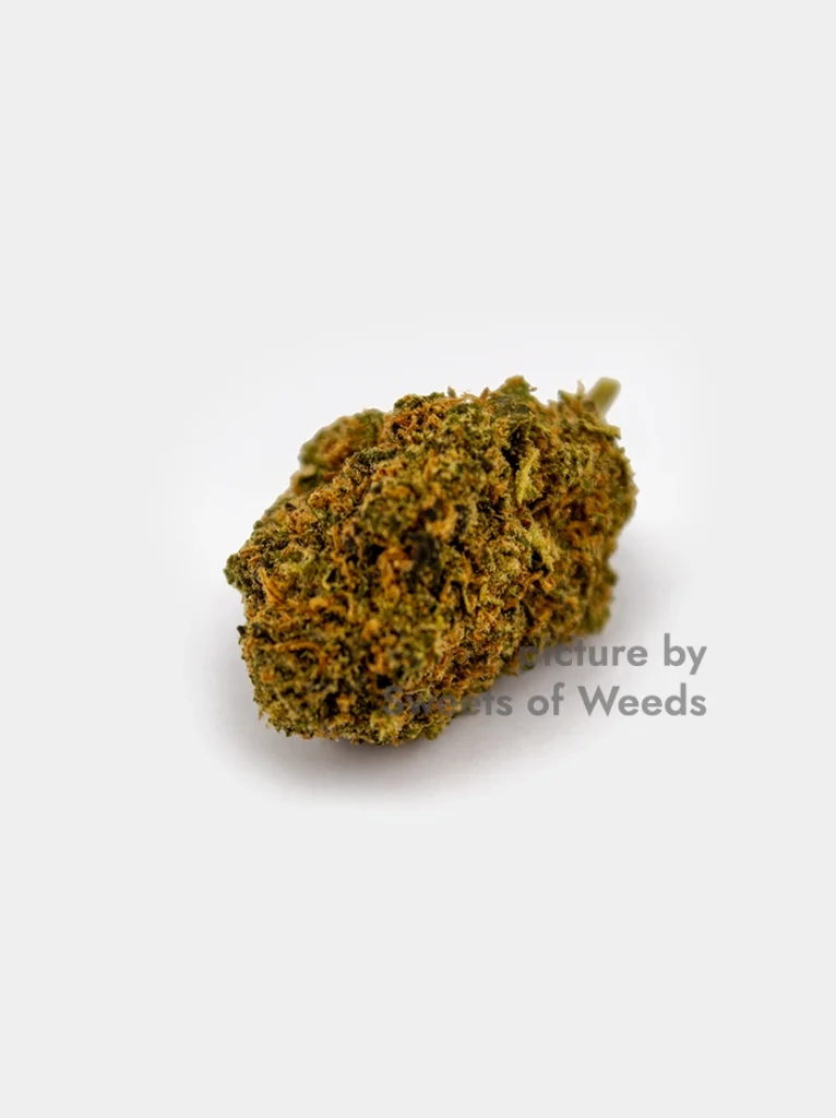 Premium CBD Blüten Blueberry Sour – Hochwertiger Indoor-Anbau