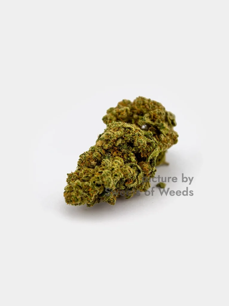 CBD Northern Lights