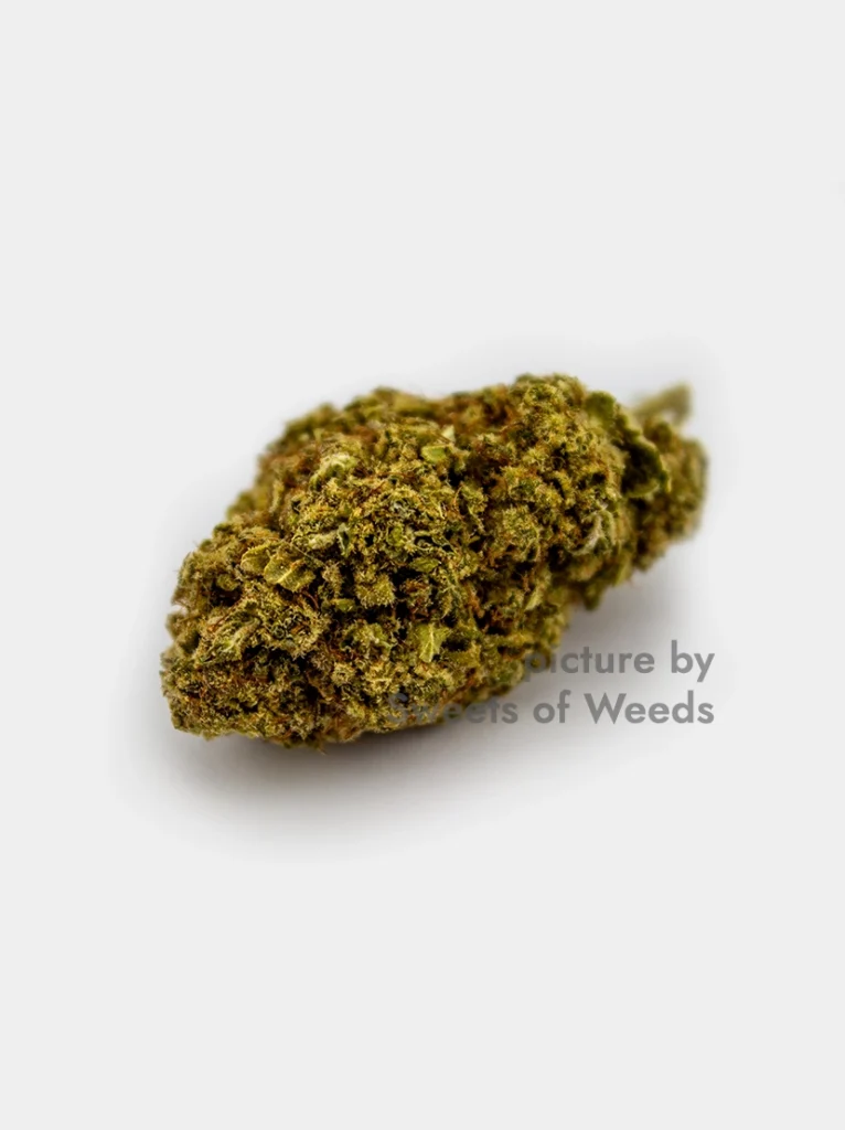 Premium CBD Blüten Bubble Gum – Hochwertiger Indoor-Anbau